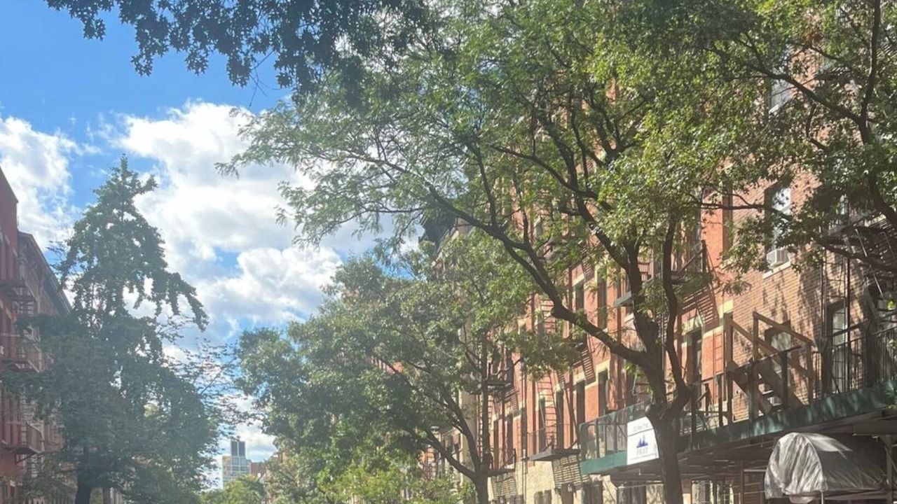 Photo of Others in Chelsea