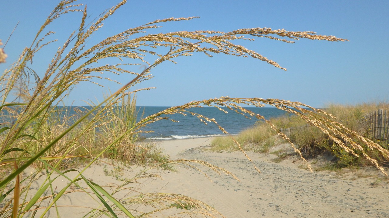 Photo of Others in Broadkill Beach