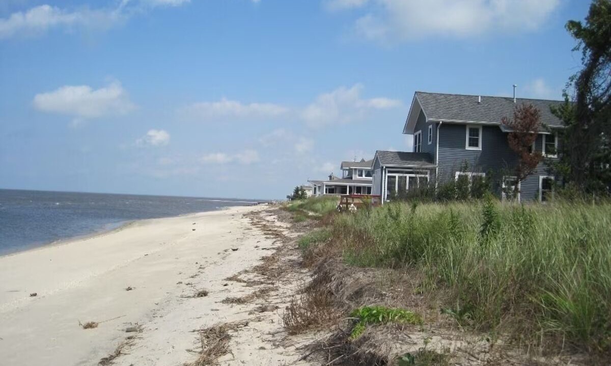 Photo of Others in Del Haven