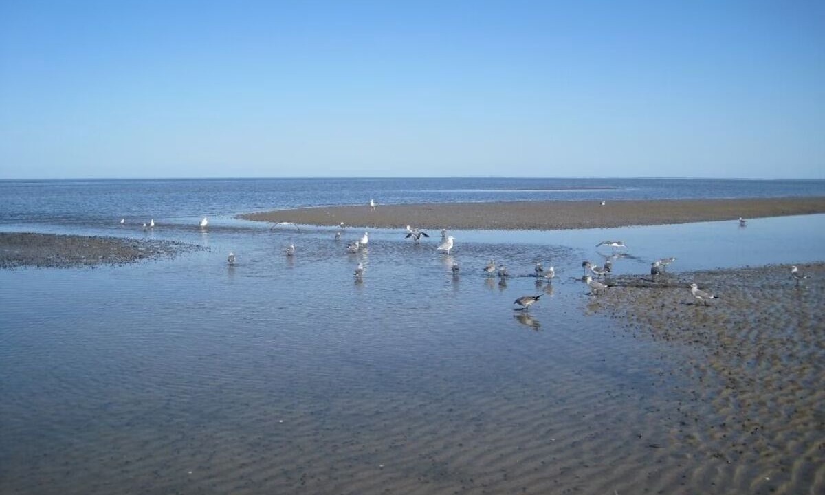 Photo of Others in Del Haven