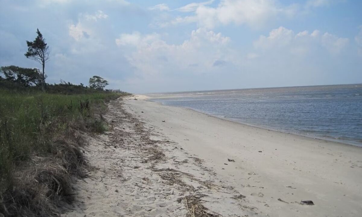 Photo of Others in Del Haven