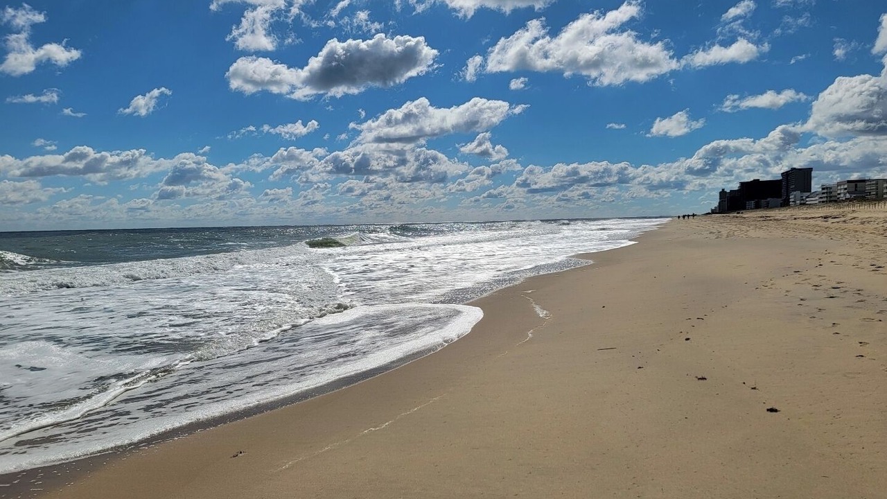 Photo of Others in North Ocean City