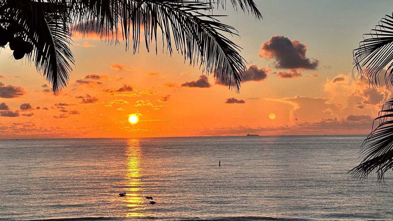Photo of Others in Lauderdale-by-the-Sea