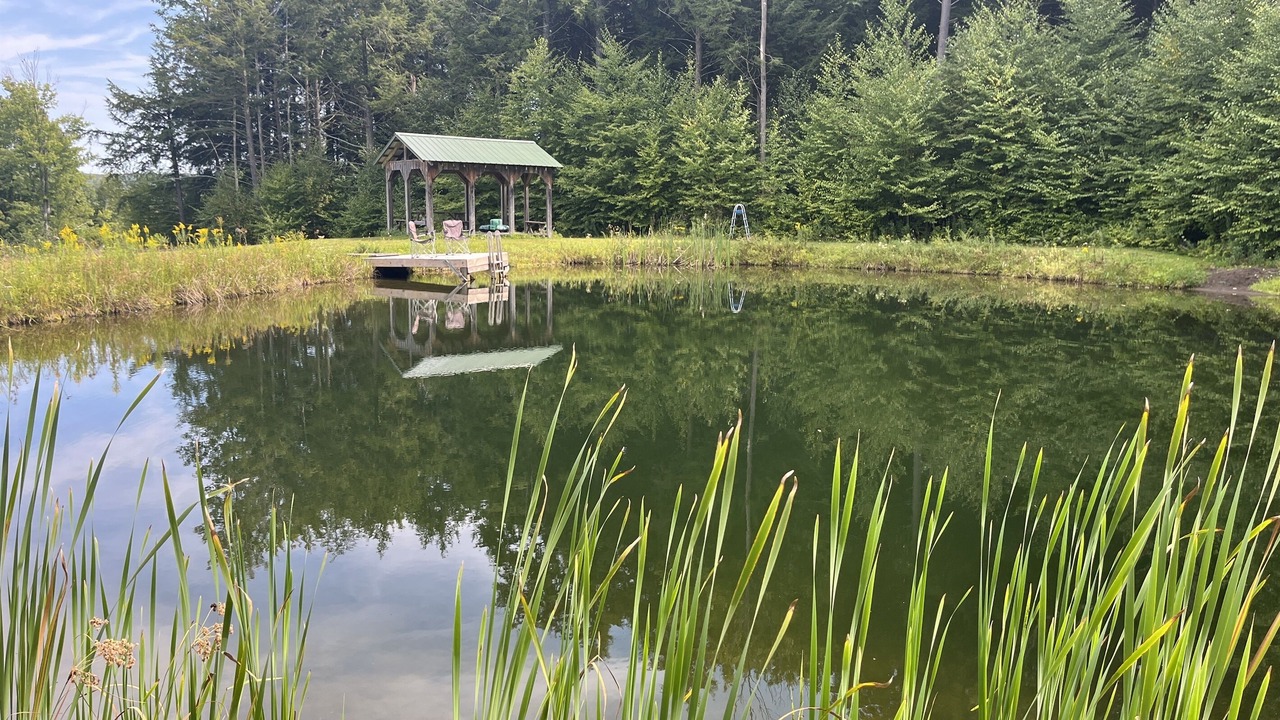 Photo of Outdoor in Oneonta