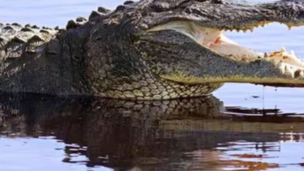 Photo of Others in Tamarac