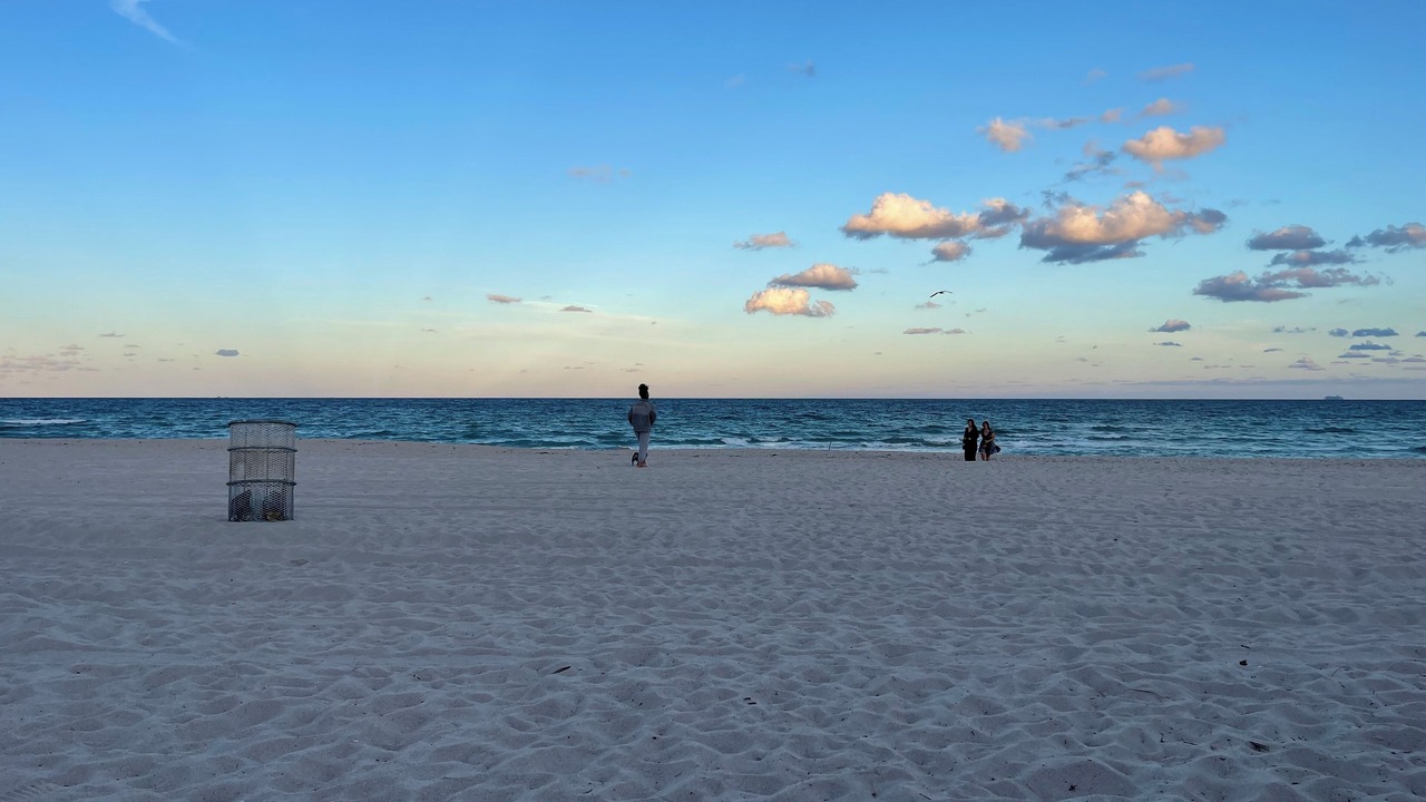 Photo of Others in North Beach