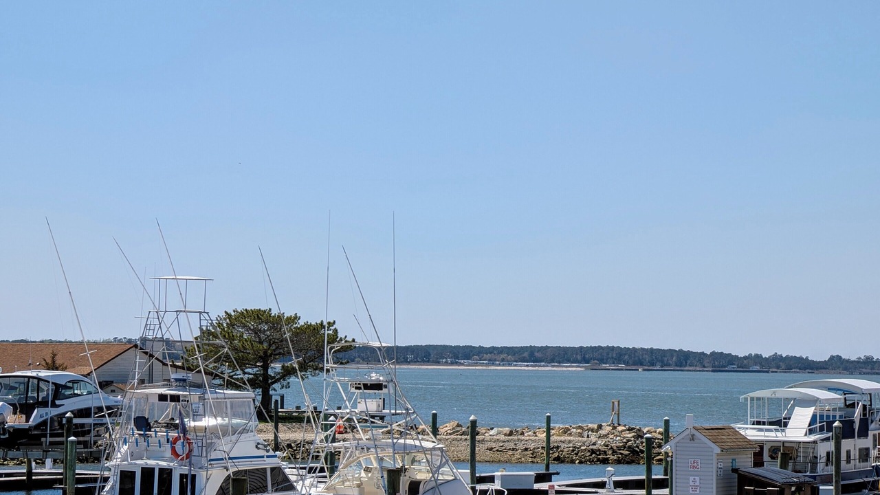Photo of Others in Bethany Beach