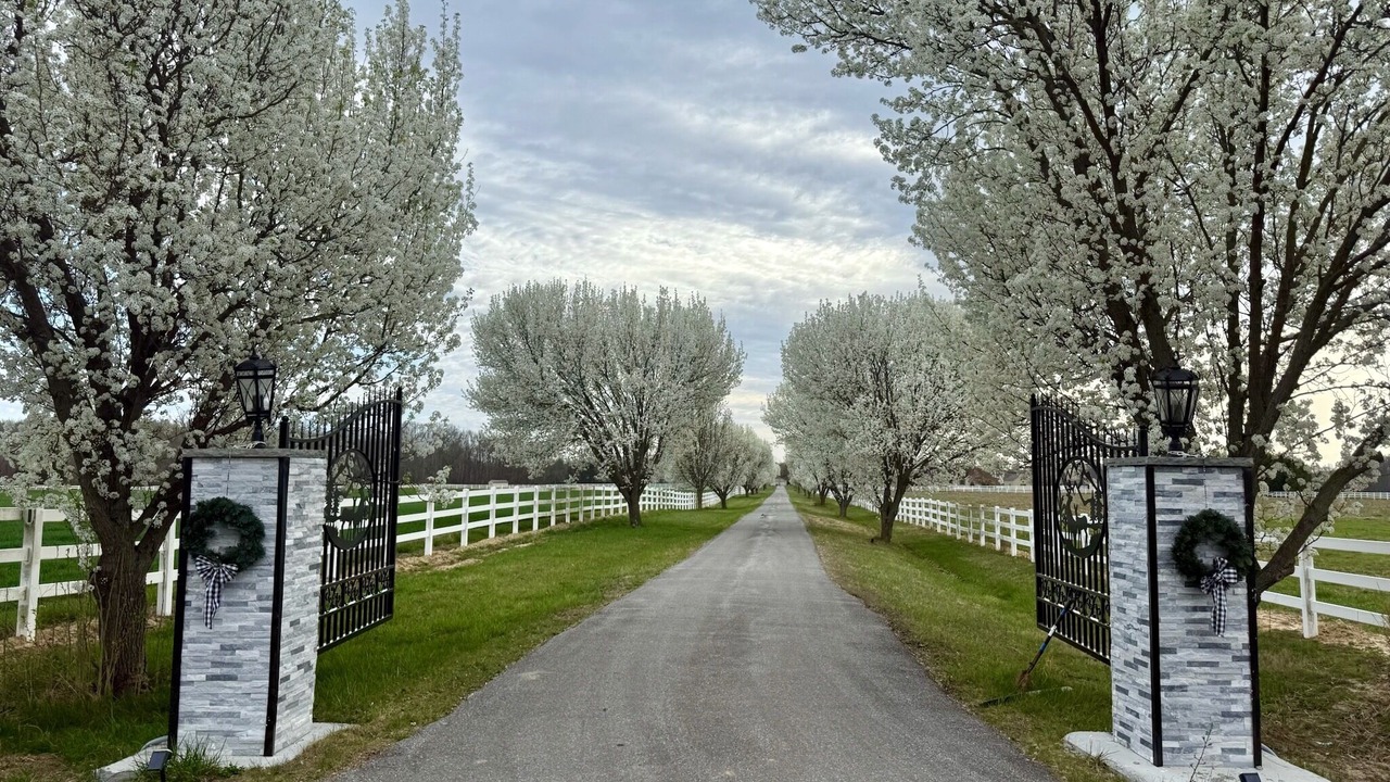Photo of Outdoor in Hancocks Bridge