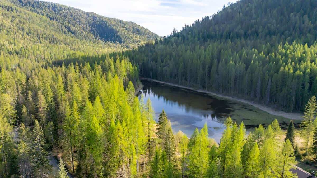 Photo of Others in Columbia Falls