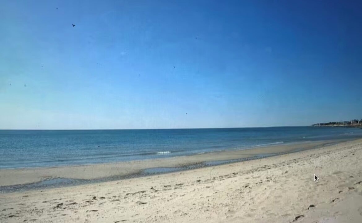 Photo of Others in Northwest Harwich