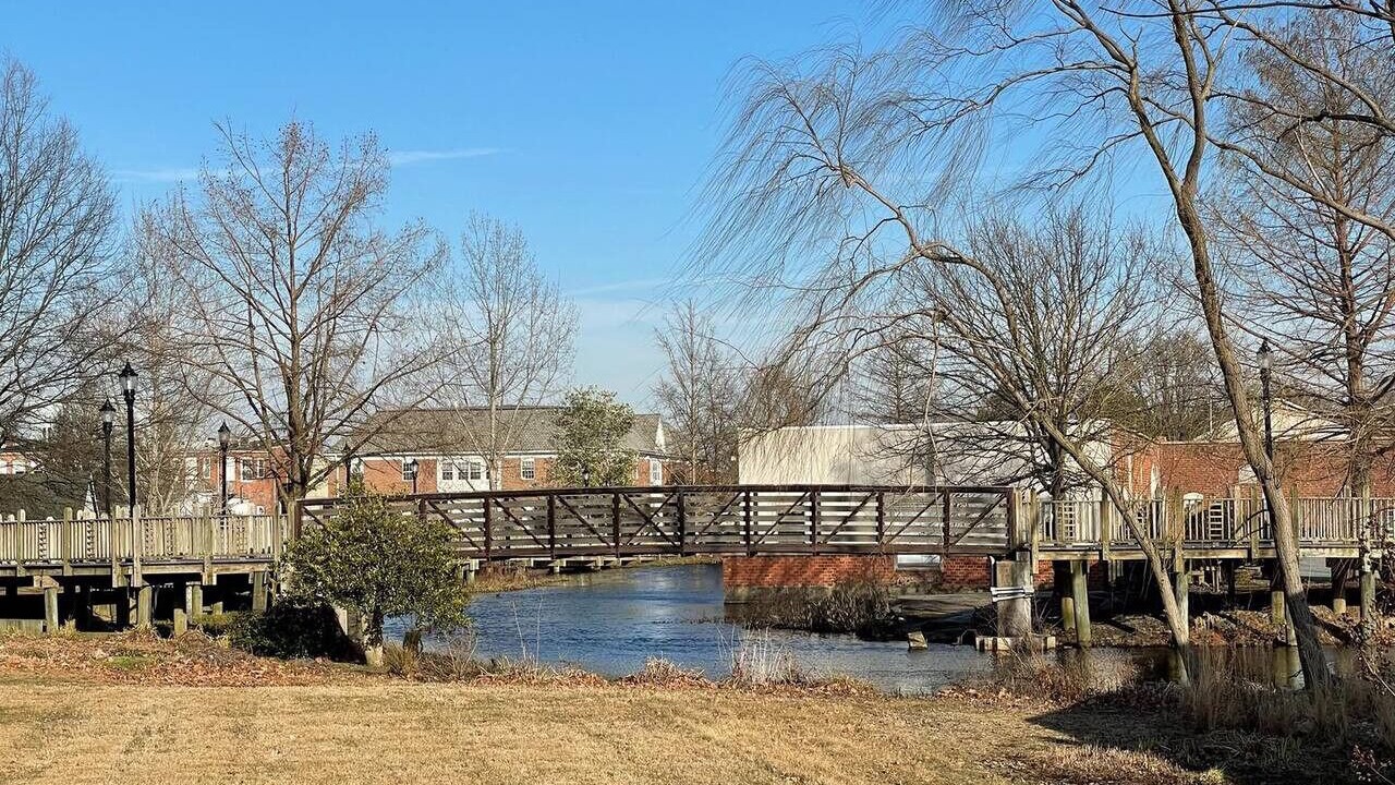 Photo of Others in Milford