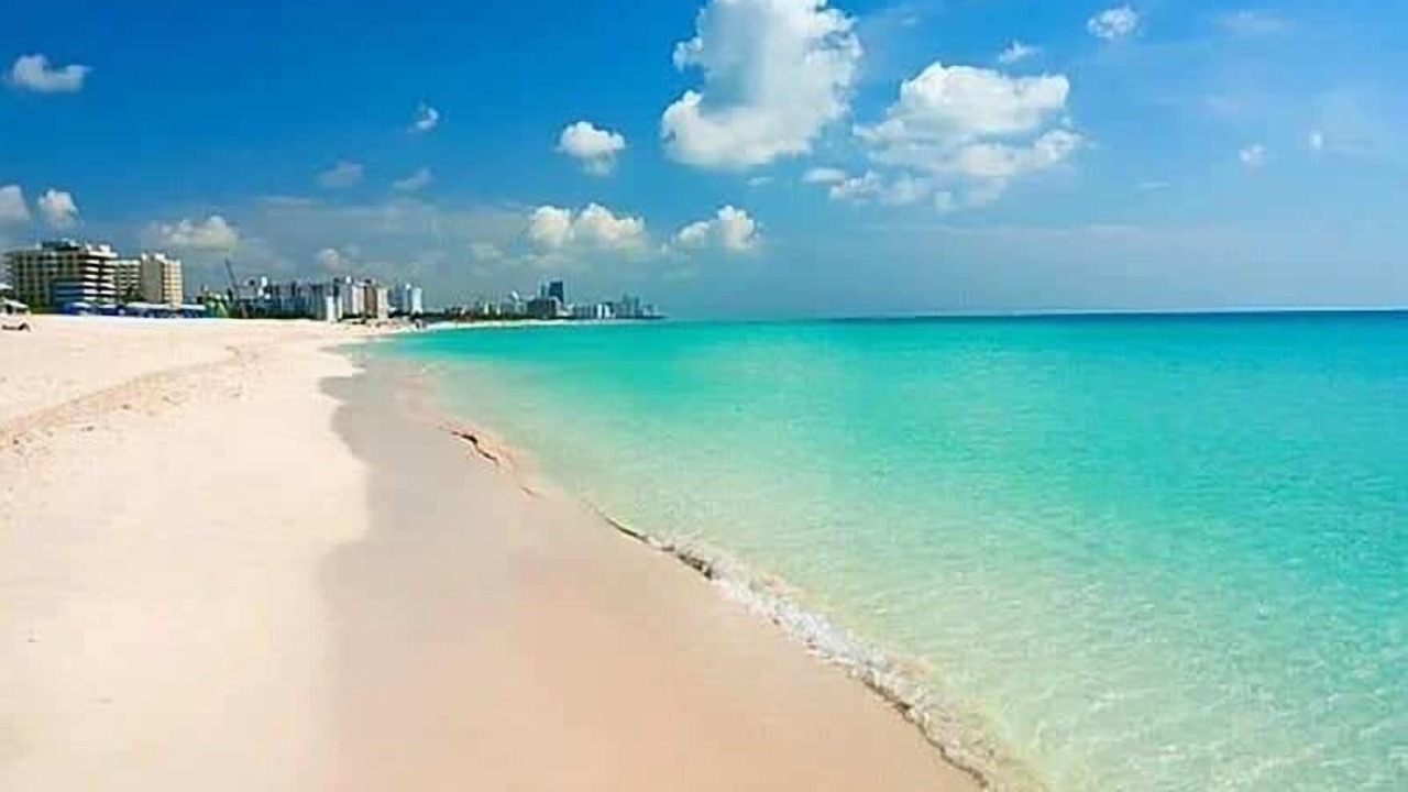 Photo of Others in Deerfield Beach