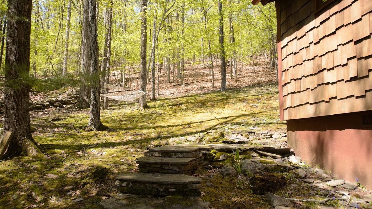 Photo of Outdoor in Boiceville