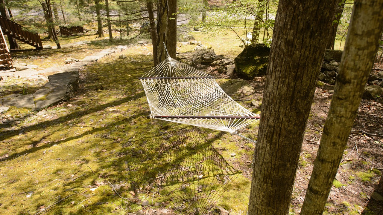 Photo of Outdoor in Boiceville