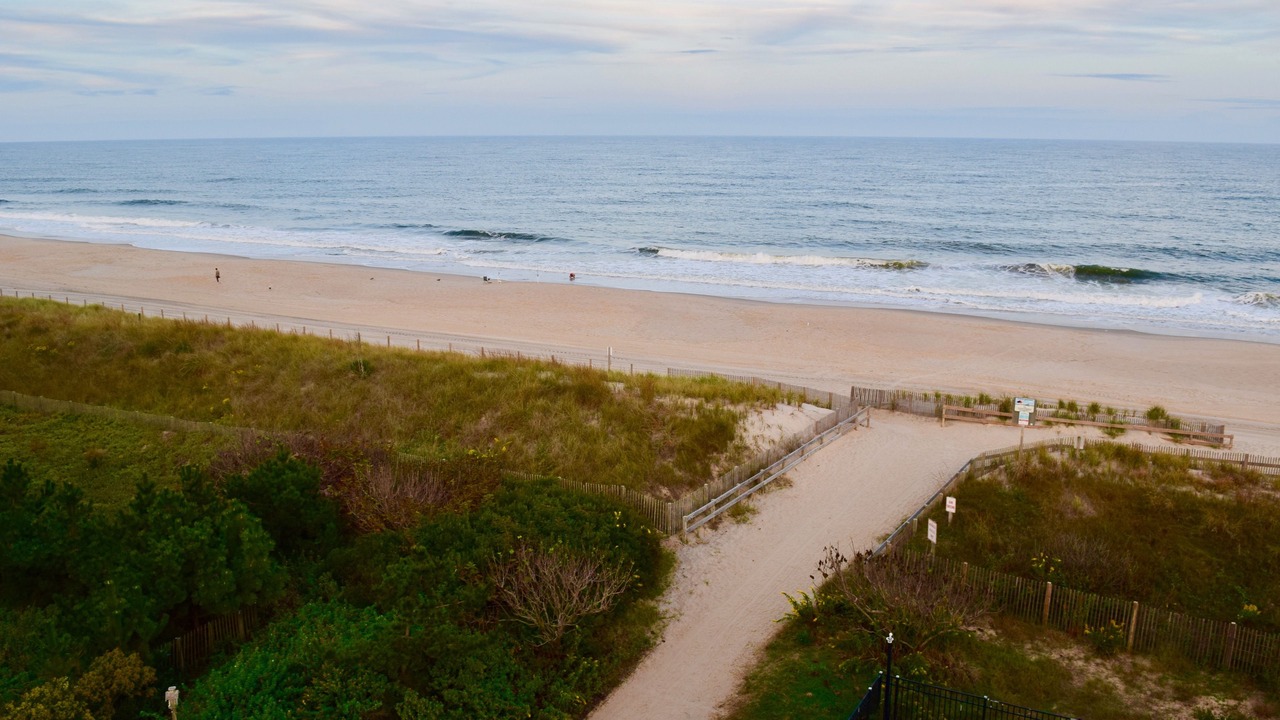 Photo of Others in Midtown Ocean City