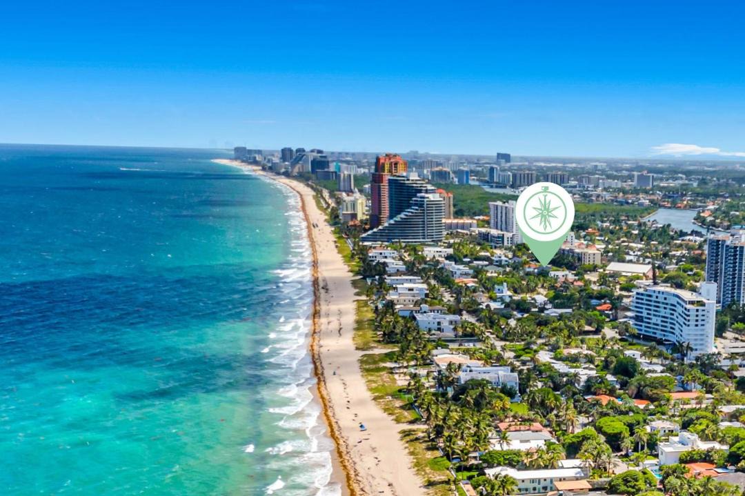 Photo of Others in Lauderdale Beach