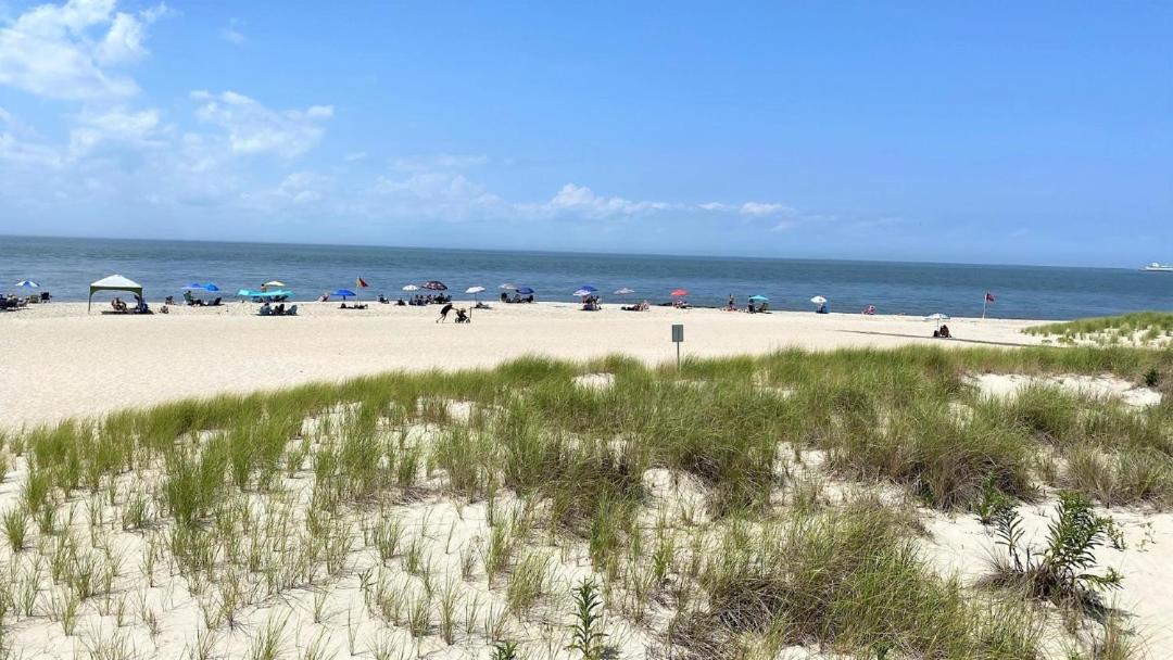 Photo of Others in Cape May Point