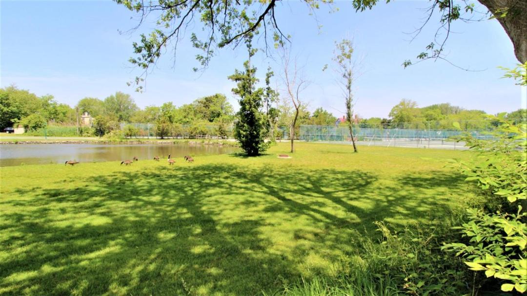 Photo of Others in Village Green