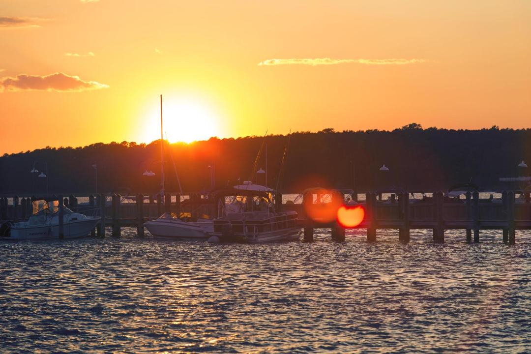 Photo of Others in Dewey Beach