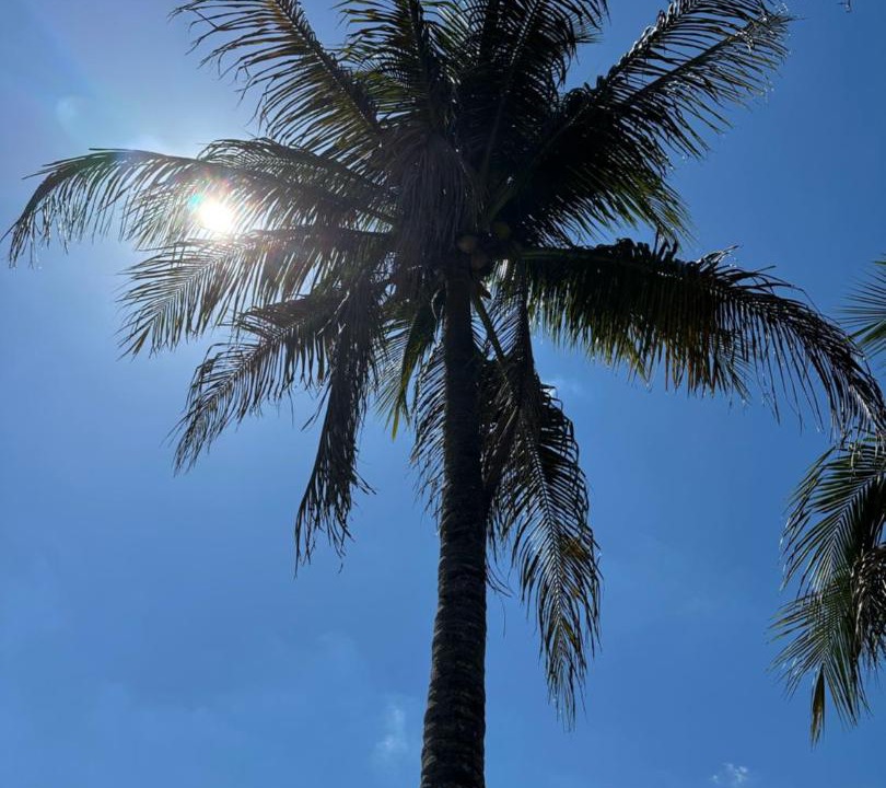 Photo of Others in Hallandale Beach