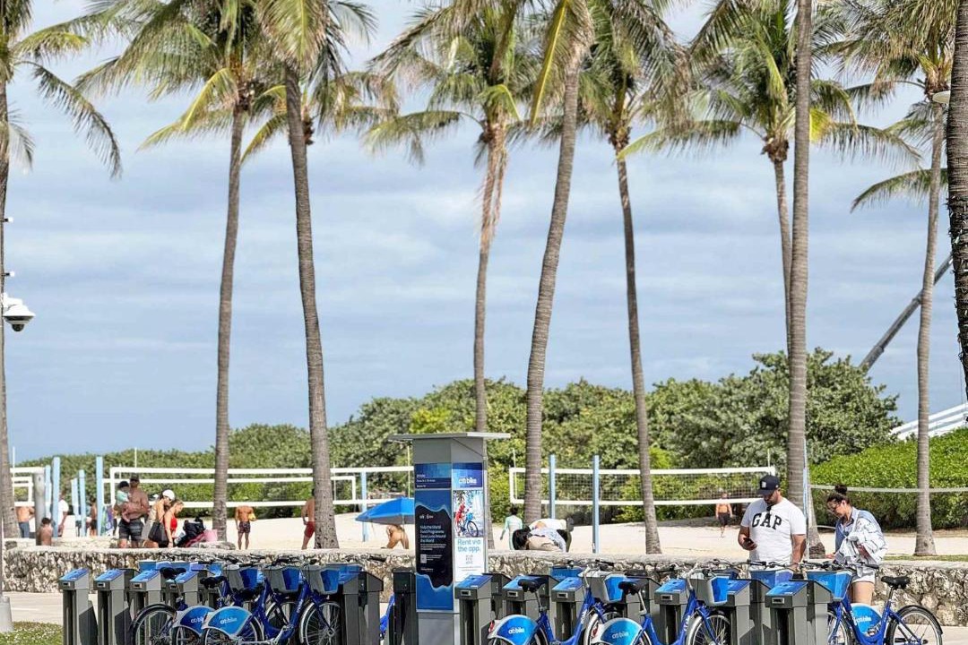 Photo of Others in South Pointe