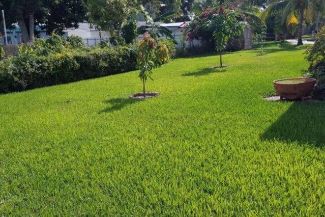 Photo of Others in Plantation