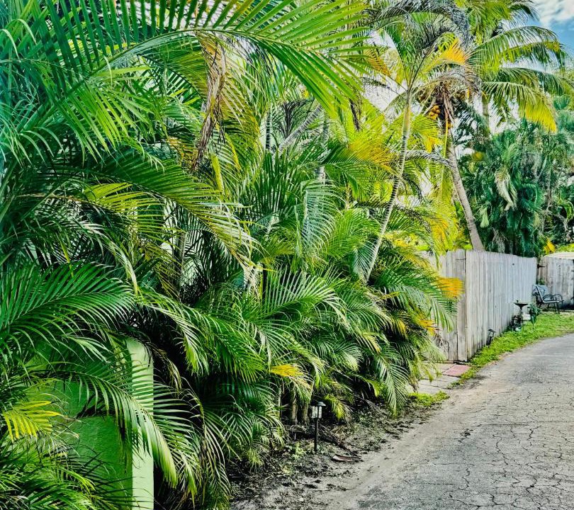 Photo of Others in Royal Poinciana