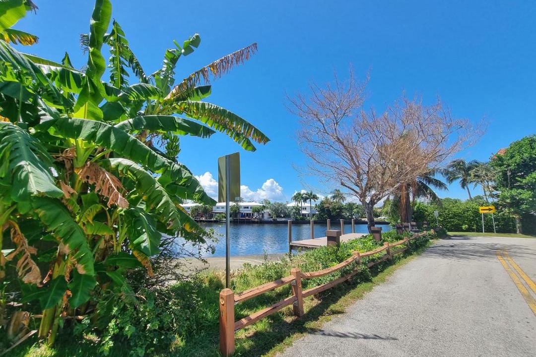 Photo of Outdoor in Middle River Terrace