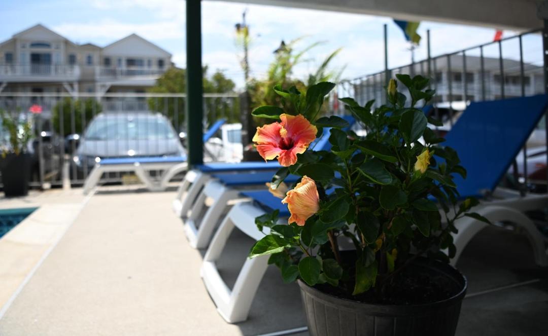 Photo of Patio Balcony in North Wildwood
