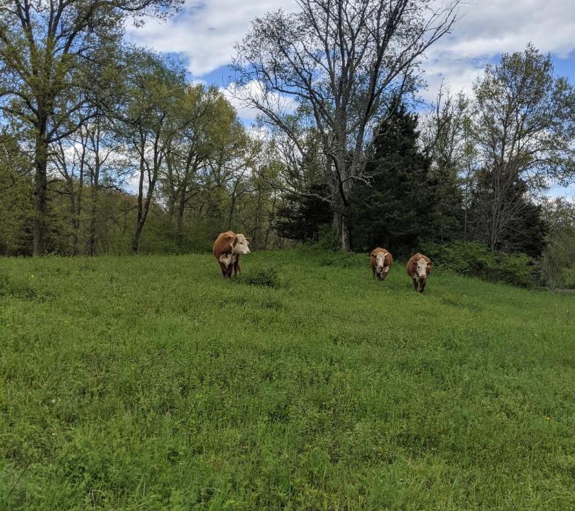 Photo of Others in Walden
