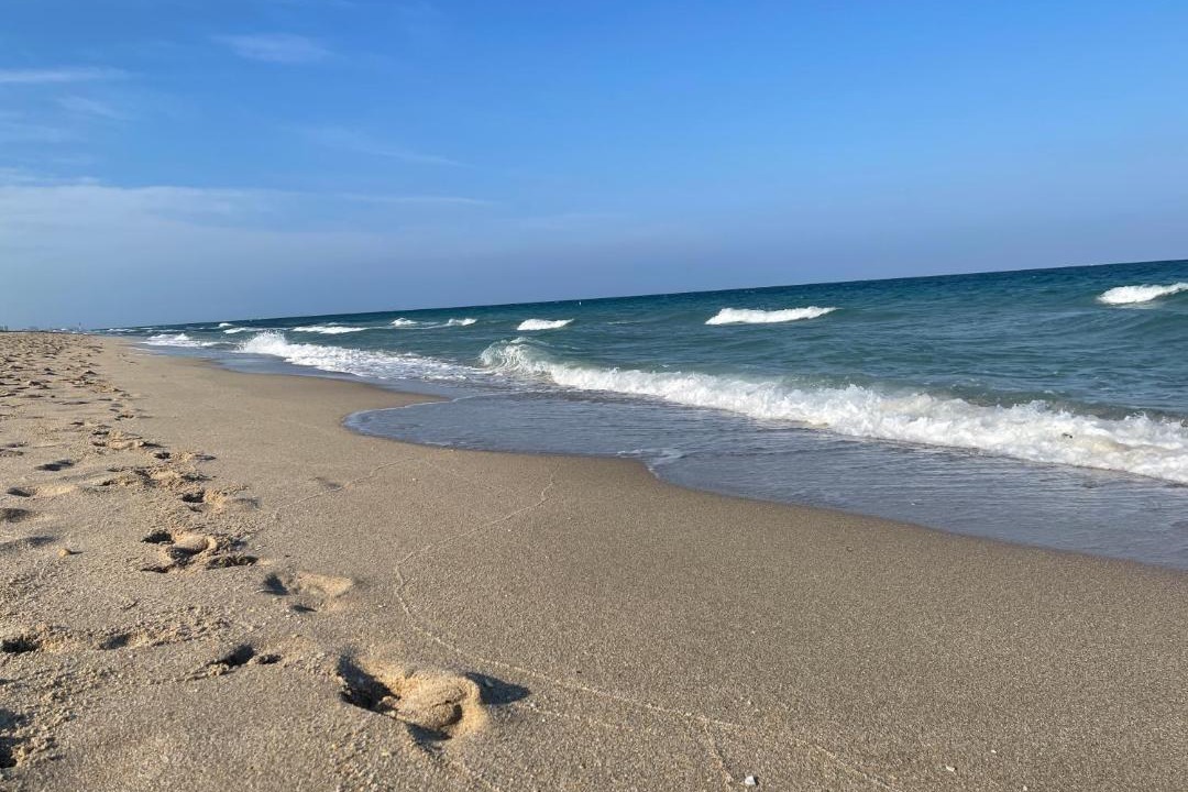 Photo of Others in Lauderdale-by-the-Sea