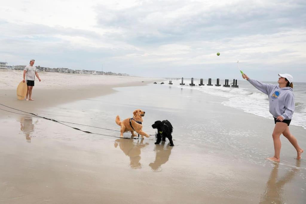 Photo of Others in North Cape May