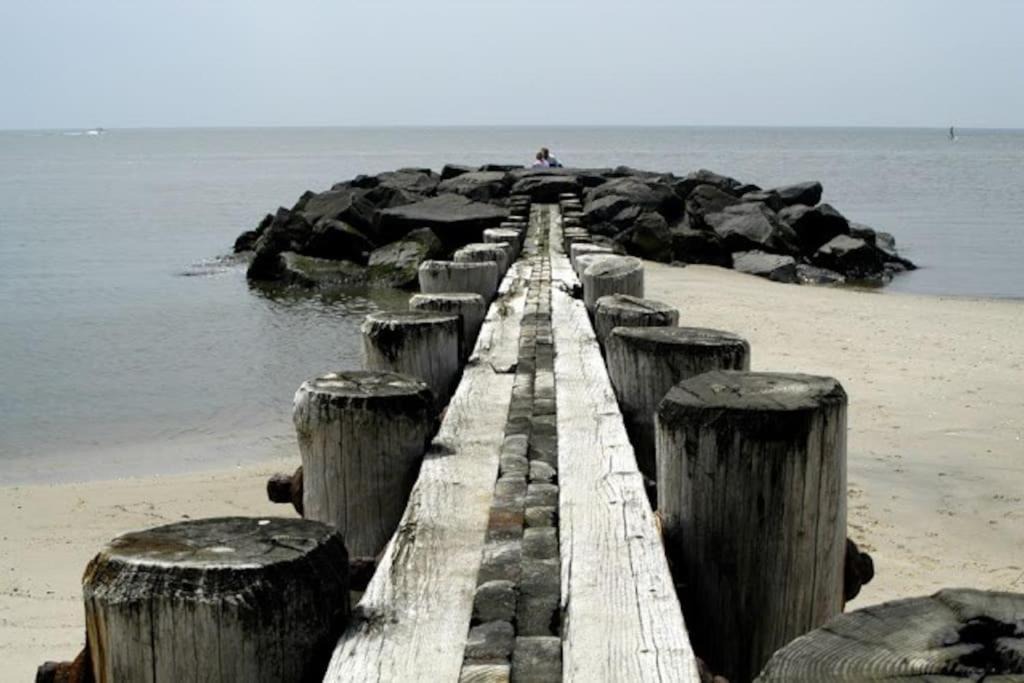 Photo of Others in North Cape May