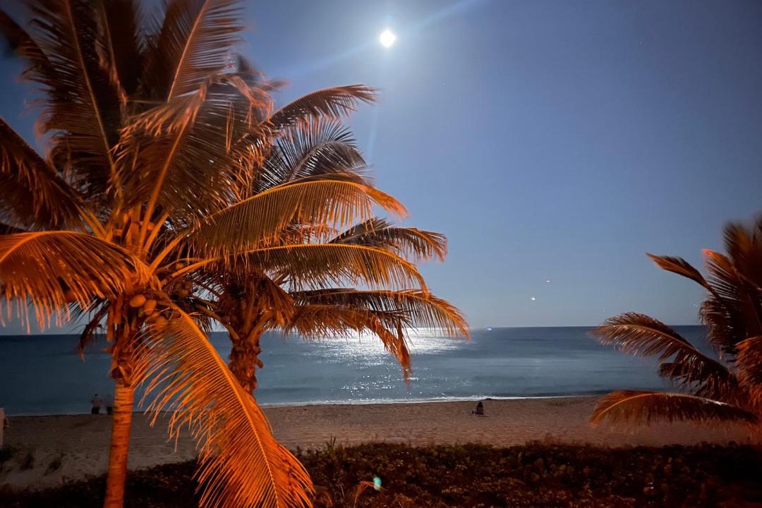 Photo of Others in Lauderdale-by-the-Sea
