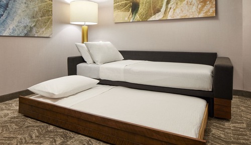 Suite, 1 King Bed and Trundle Sofa, Roll-in Shower