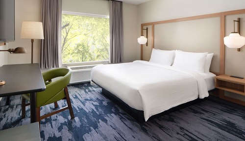 Room, 1 King Bed