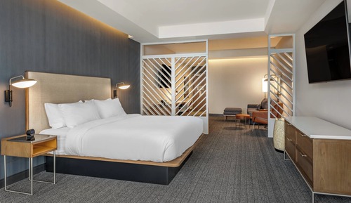 Suite, 1 King Bed with Sofa bed