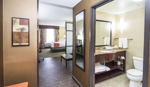 Standard Room, 1 King Bed with Sofa bed