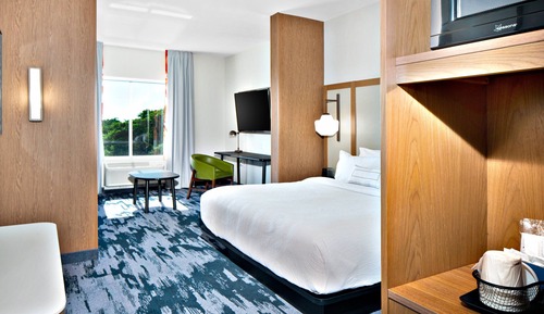 Suite, 1 King Bed with Sofa bed