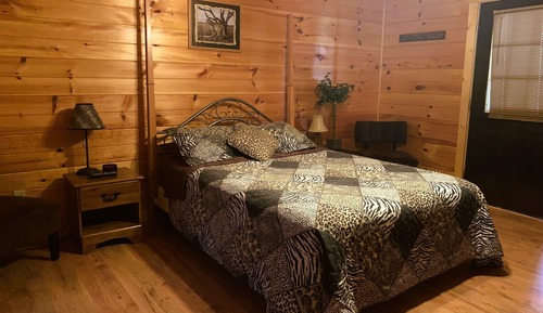 The Jungle Studio Unit (No Pets)