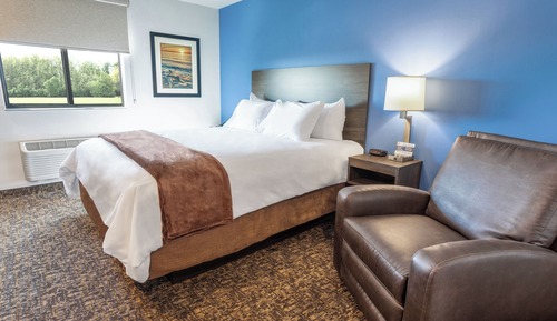 Room, 1 King Bed (Hearing impaired)