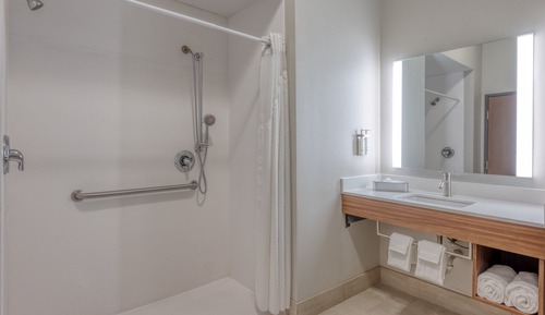 Standard Room, 1 King Bed, Accessible (Mobility, Roll-In Shower)