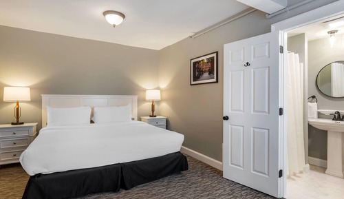 Room, 1 King Bed with Sofa bed, Accessible, Non Smoking