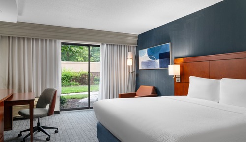 Room, 1 King Bed with Sofa bed