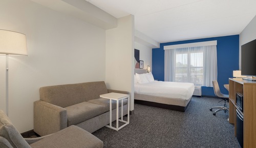 Room, 1 King Bed with Sofa bed