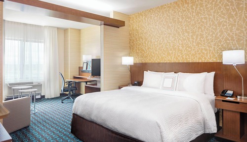 Room, 1 King Bed with Sofa bed