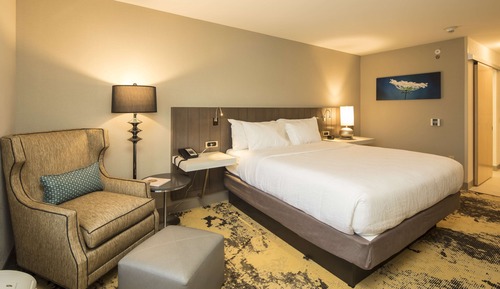 Room, 1 King Bed, Accessible, Bathtub (Mobility & Hearing)