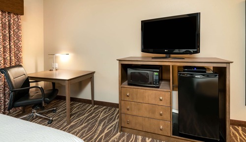 Standard Room, 1 King Bed, Refrigerator & Microwave