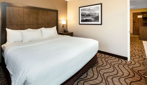 Room, 1 King Bed, Non Smoking, Kitchenette (with Sofabed)