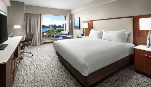 Room, 1 King Bed, City View
